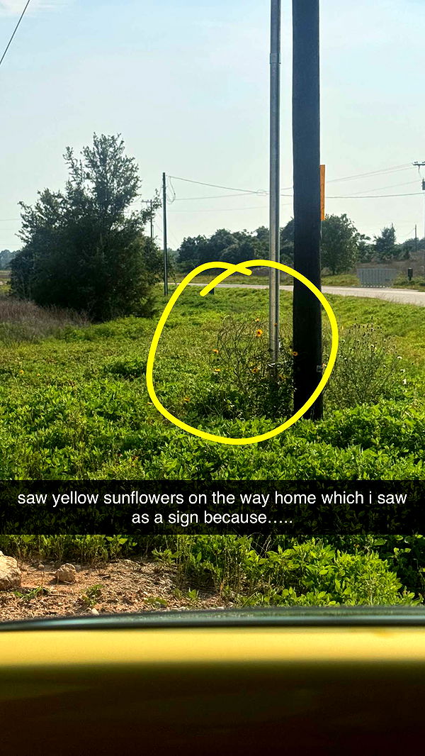 mbeeco image ~ Altpins