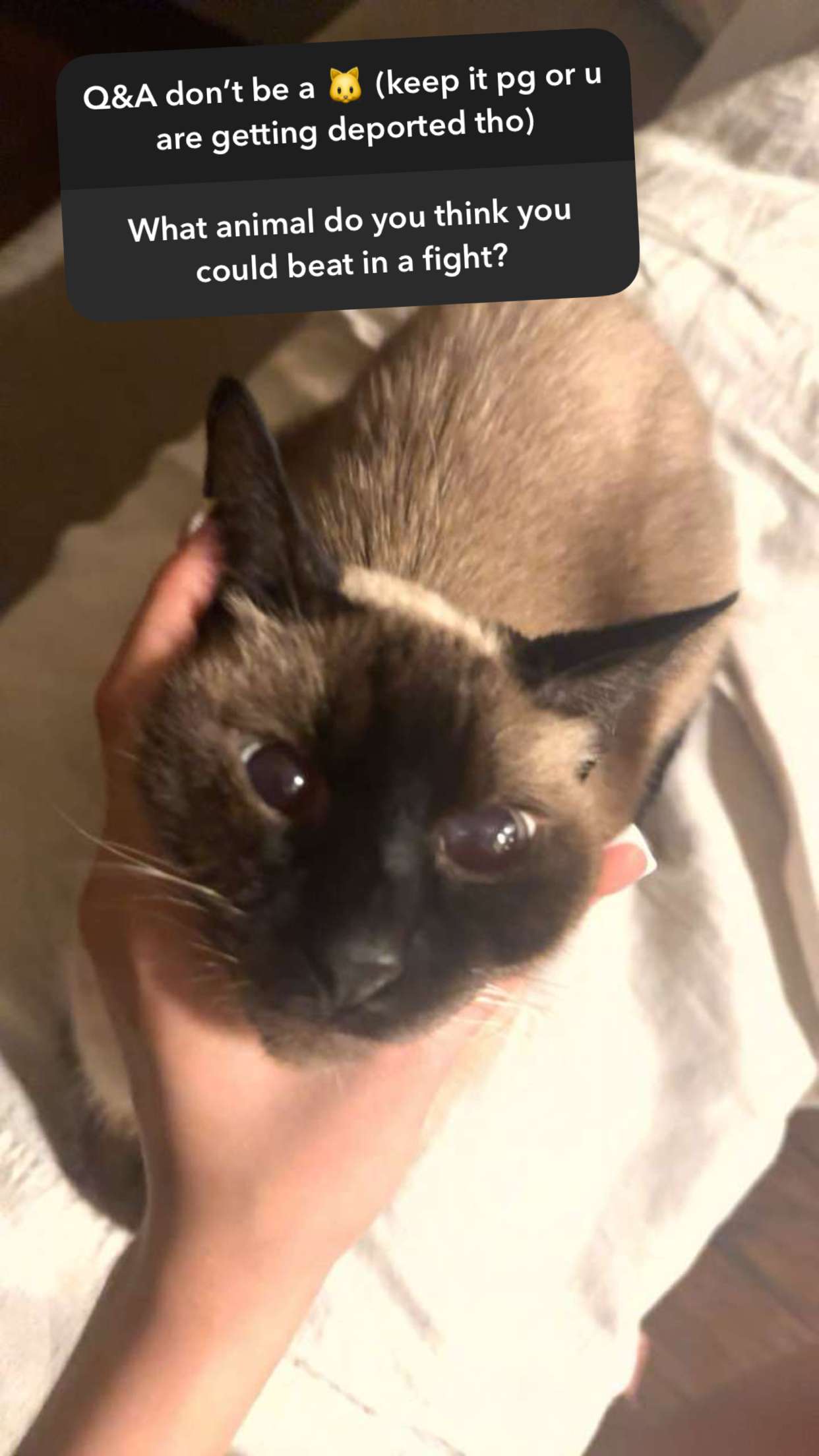 mbeeco snapchat image archive image