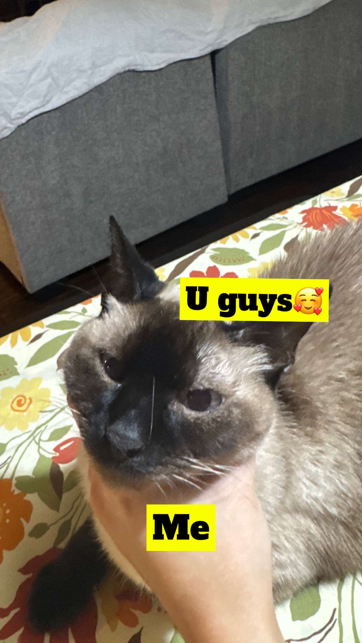 mbeeco snapchat image archive image