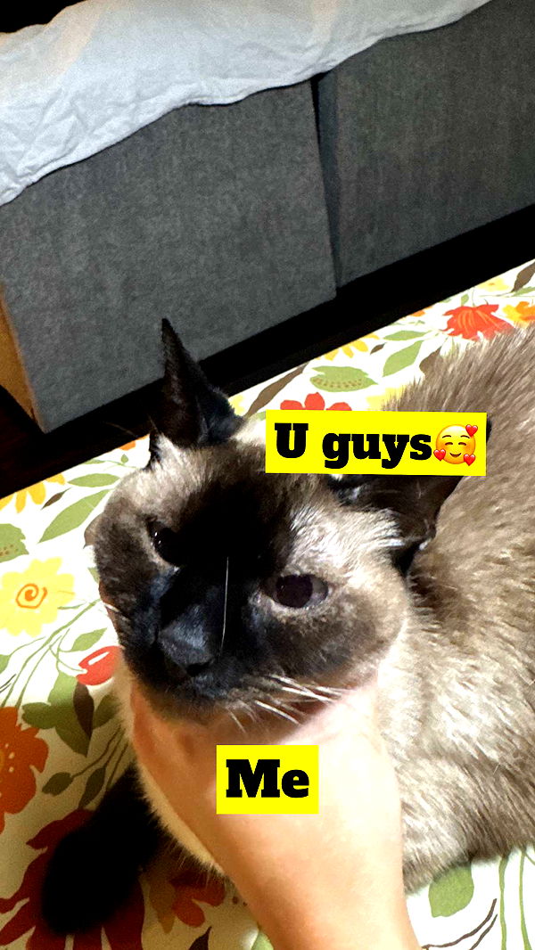 mbeeco image ~ Altpins