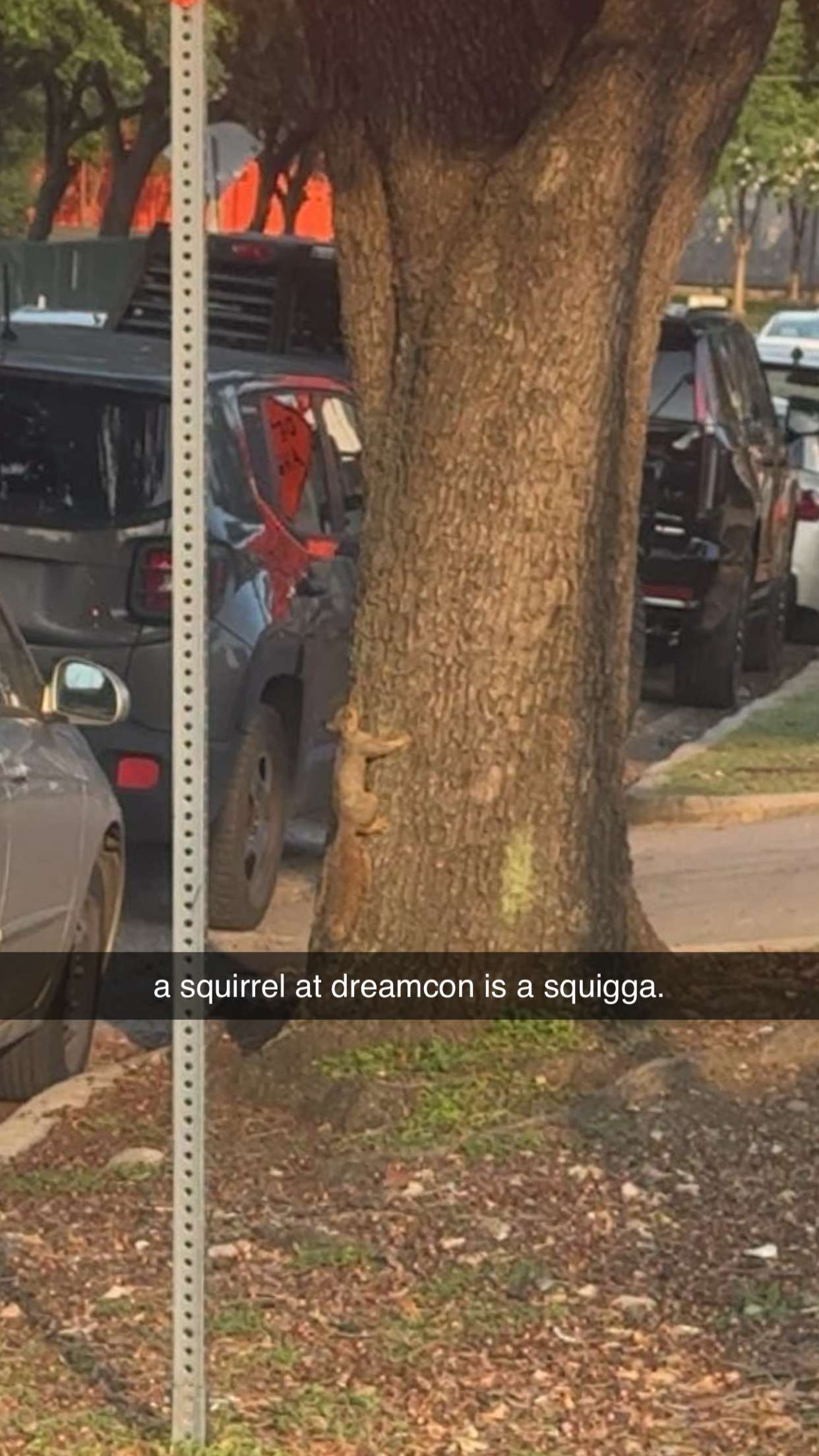 mbeeco snapchat image archive image