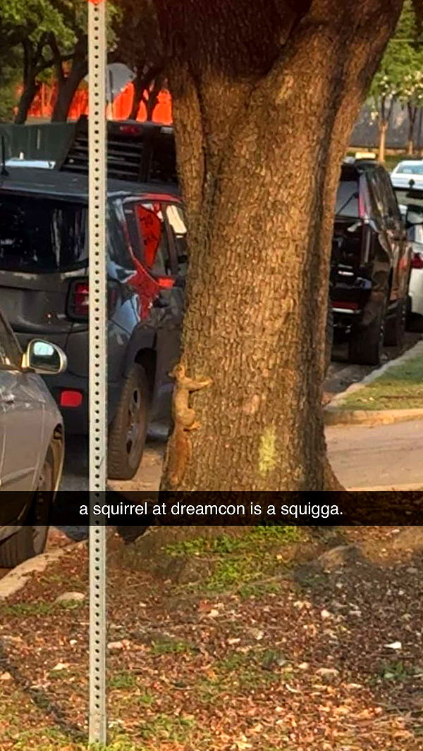 mbeeco image ~ Altpins