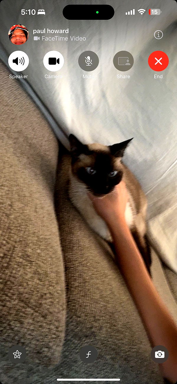 mbeeco image ~ Altpins