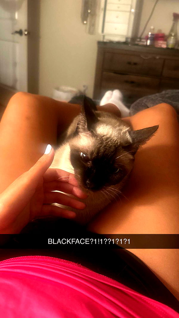 mbeeco image ~ Altpins