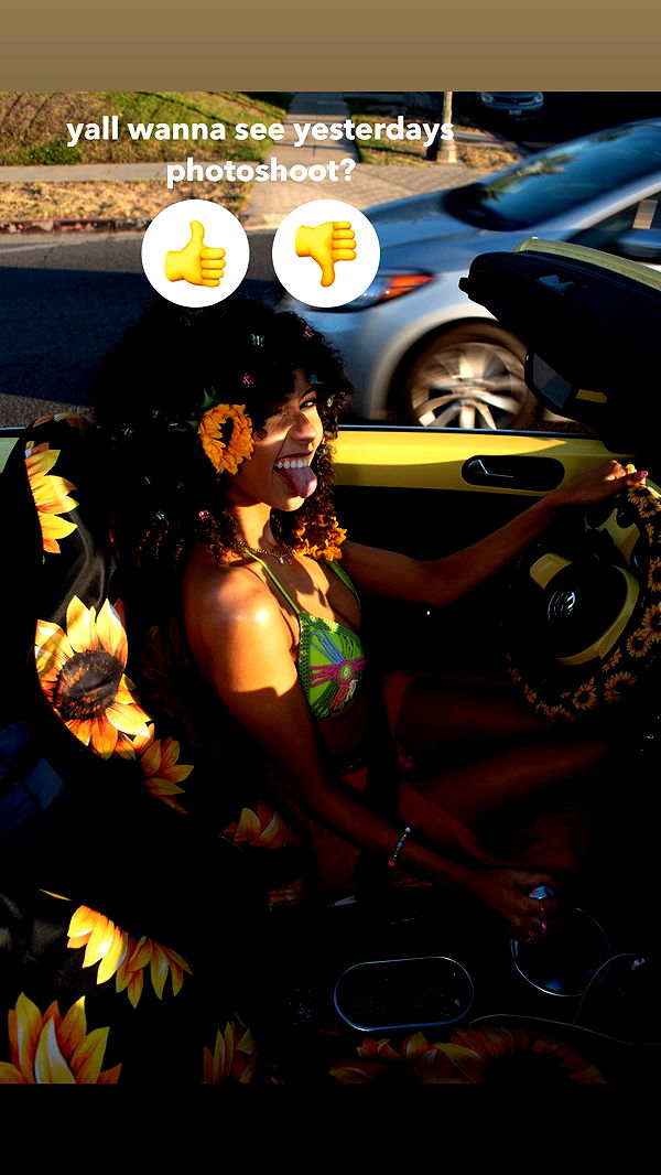 mbeeco image ~ Altpins