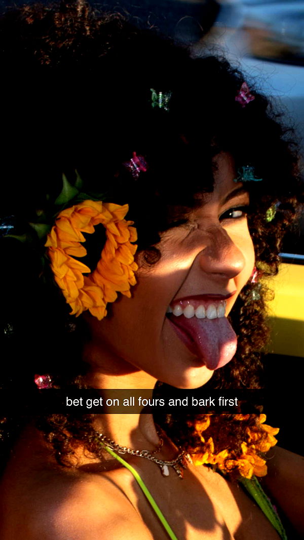 mbeeco image ~ Altpins