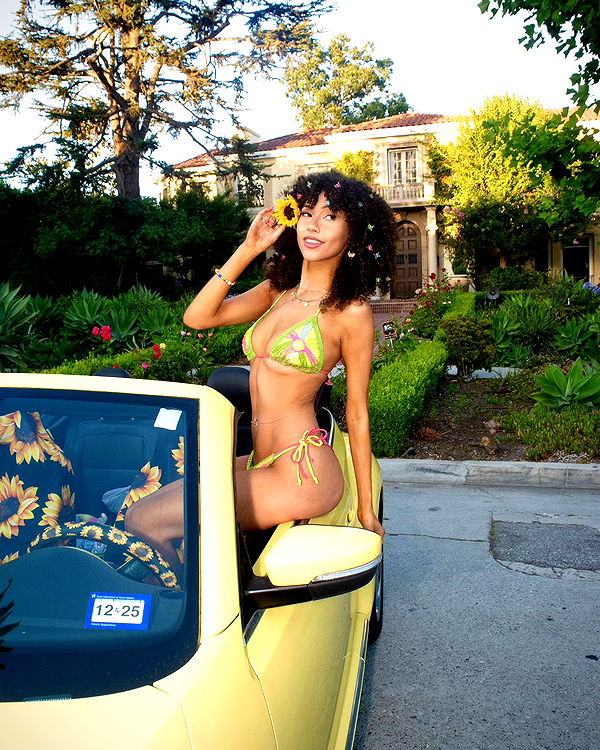 mbeeco image ~ Altpins