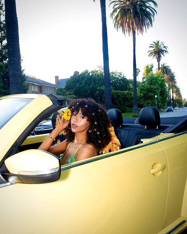 mbeeco image ~ Altpins