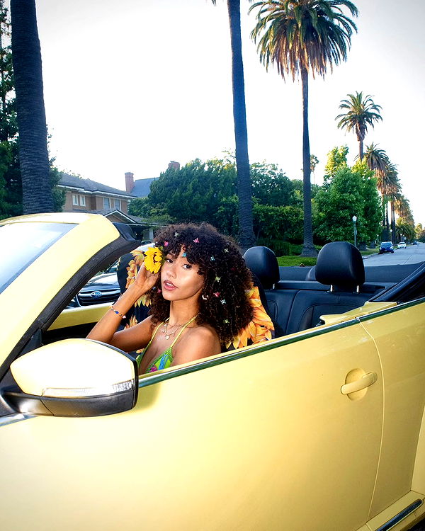 mbeeco image ~ Altpins