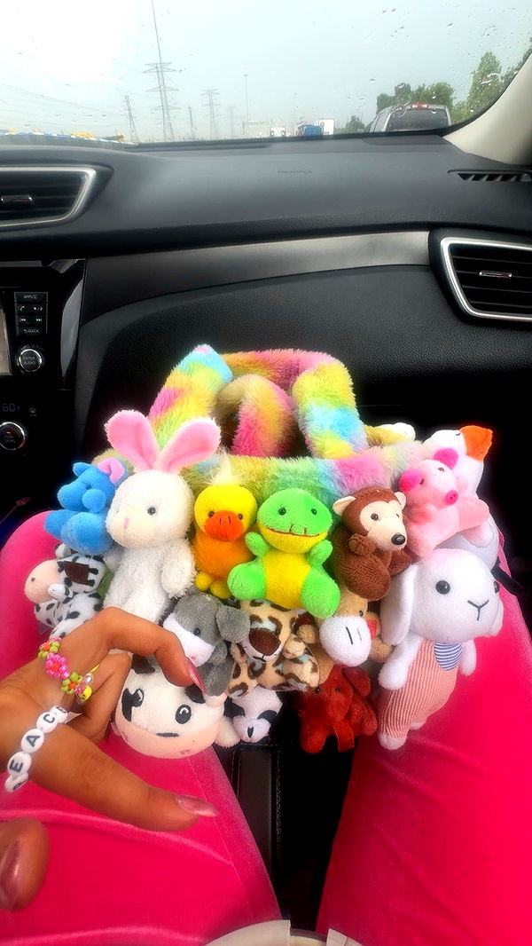 mbeeco image ~ Altpins