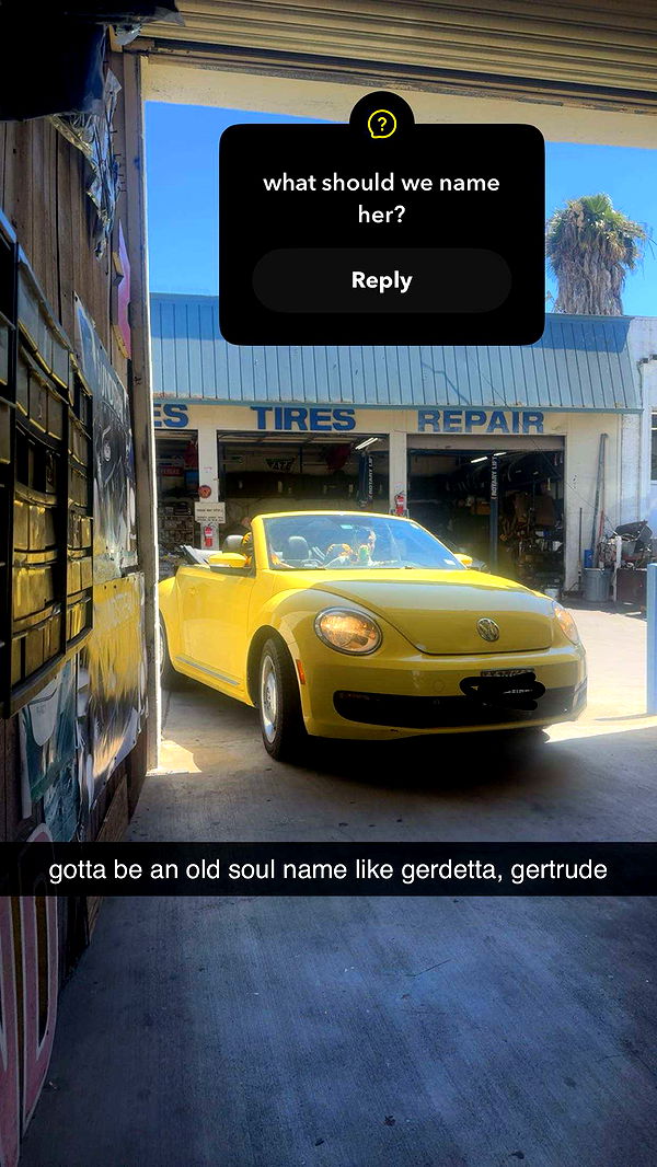 mbeeco image ~ Altpins