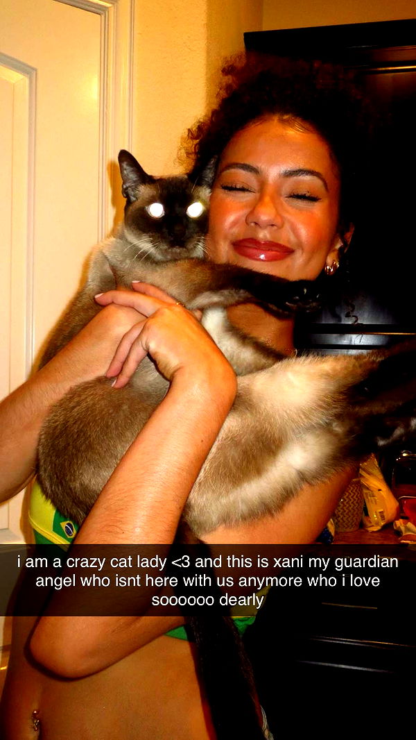 mbeeco image ~ Altpins