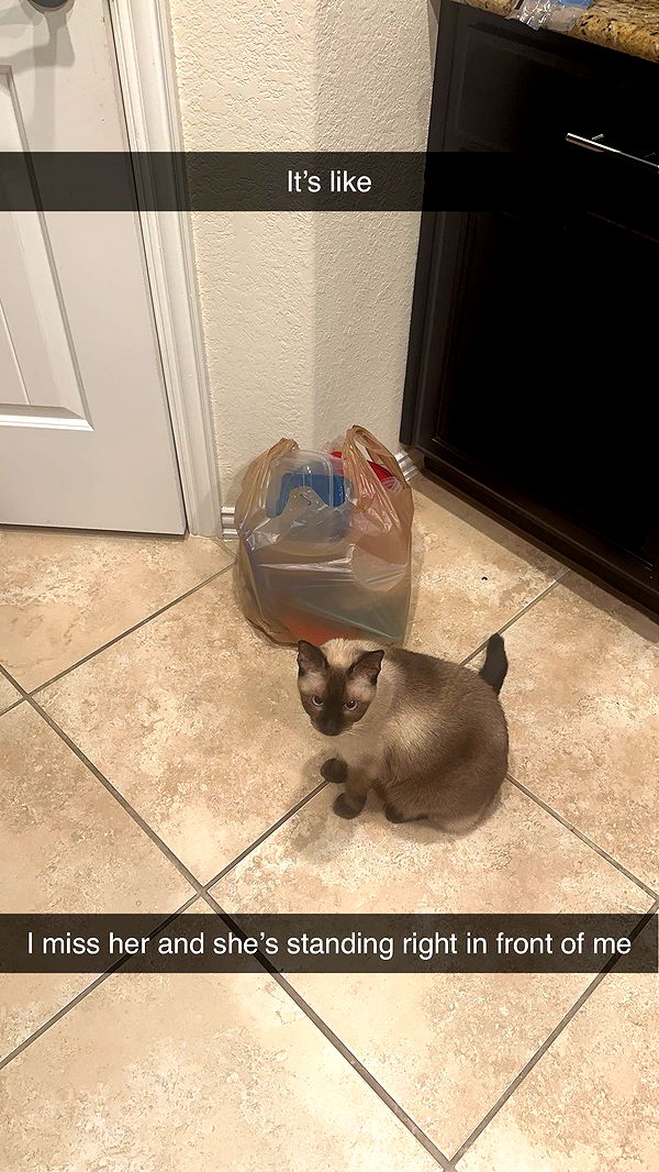 mbeeco image ~ Altpins