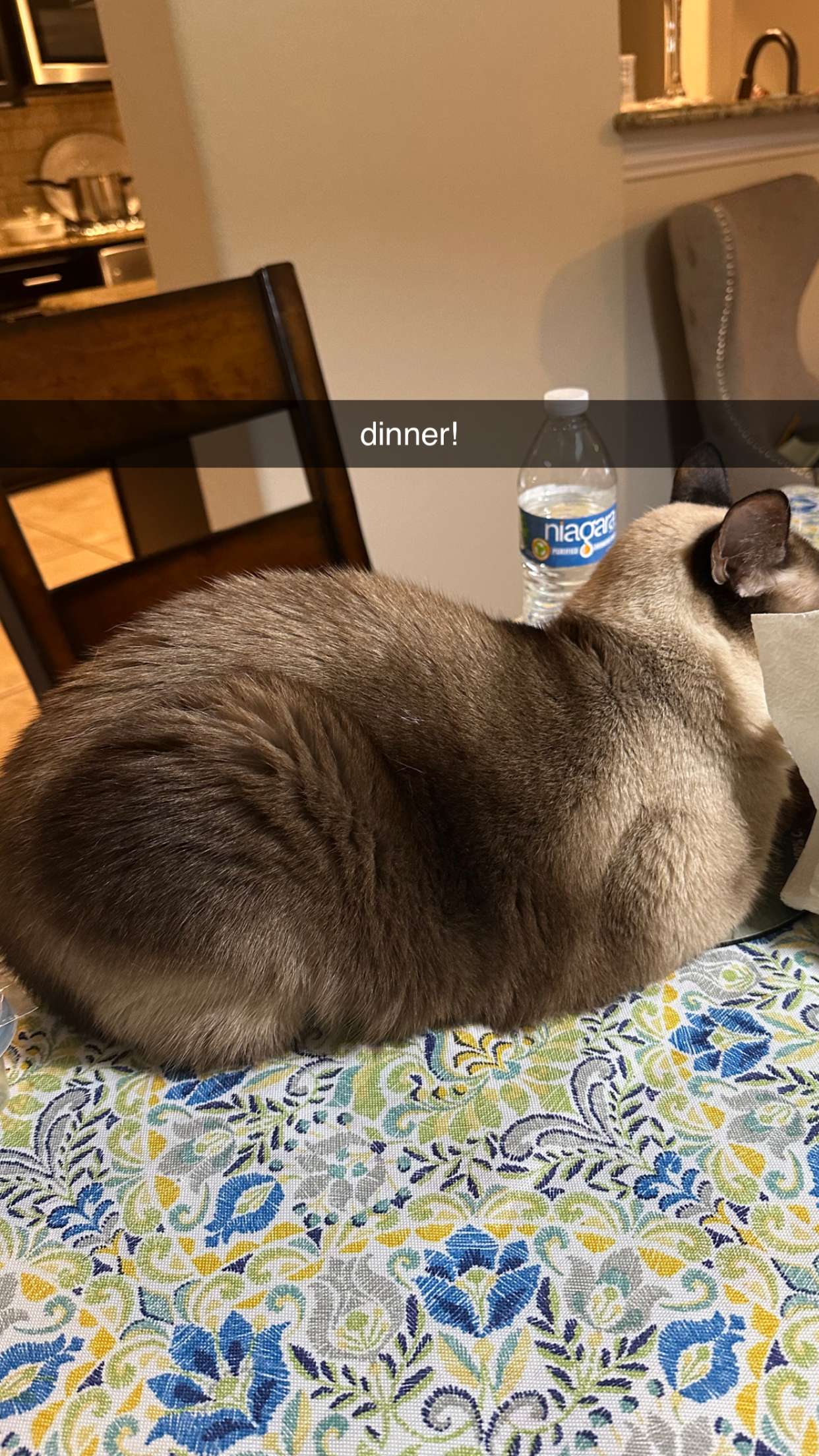 mbeeco snapchat image archive image