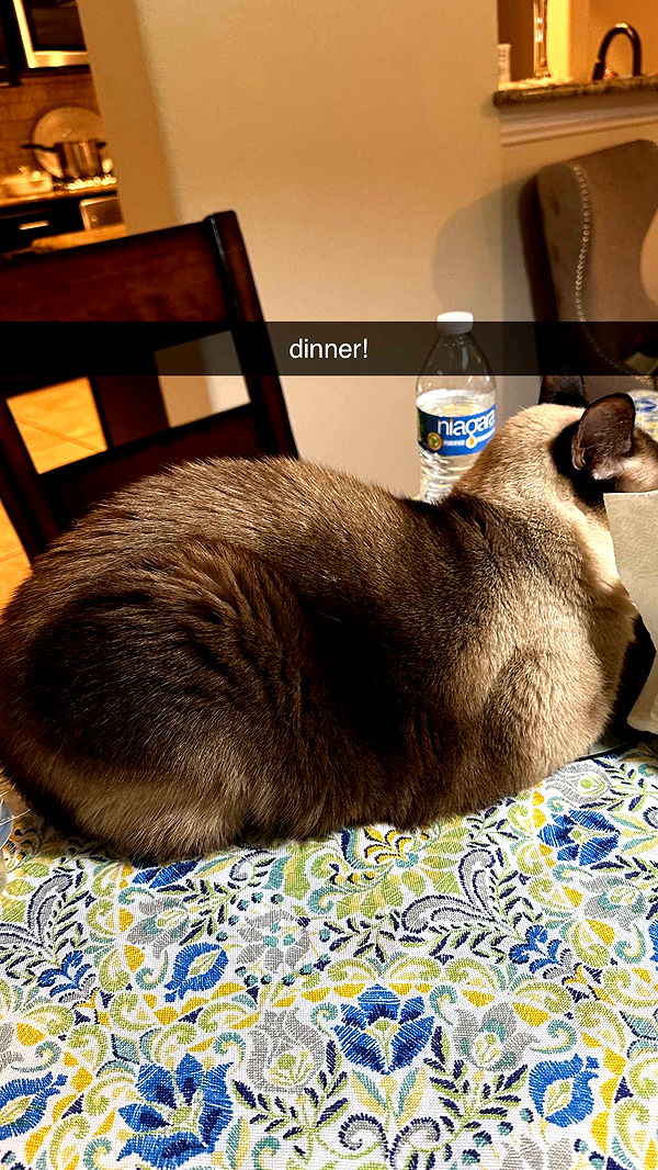 mbeeco image ~ Altpins