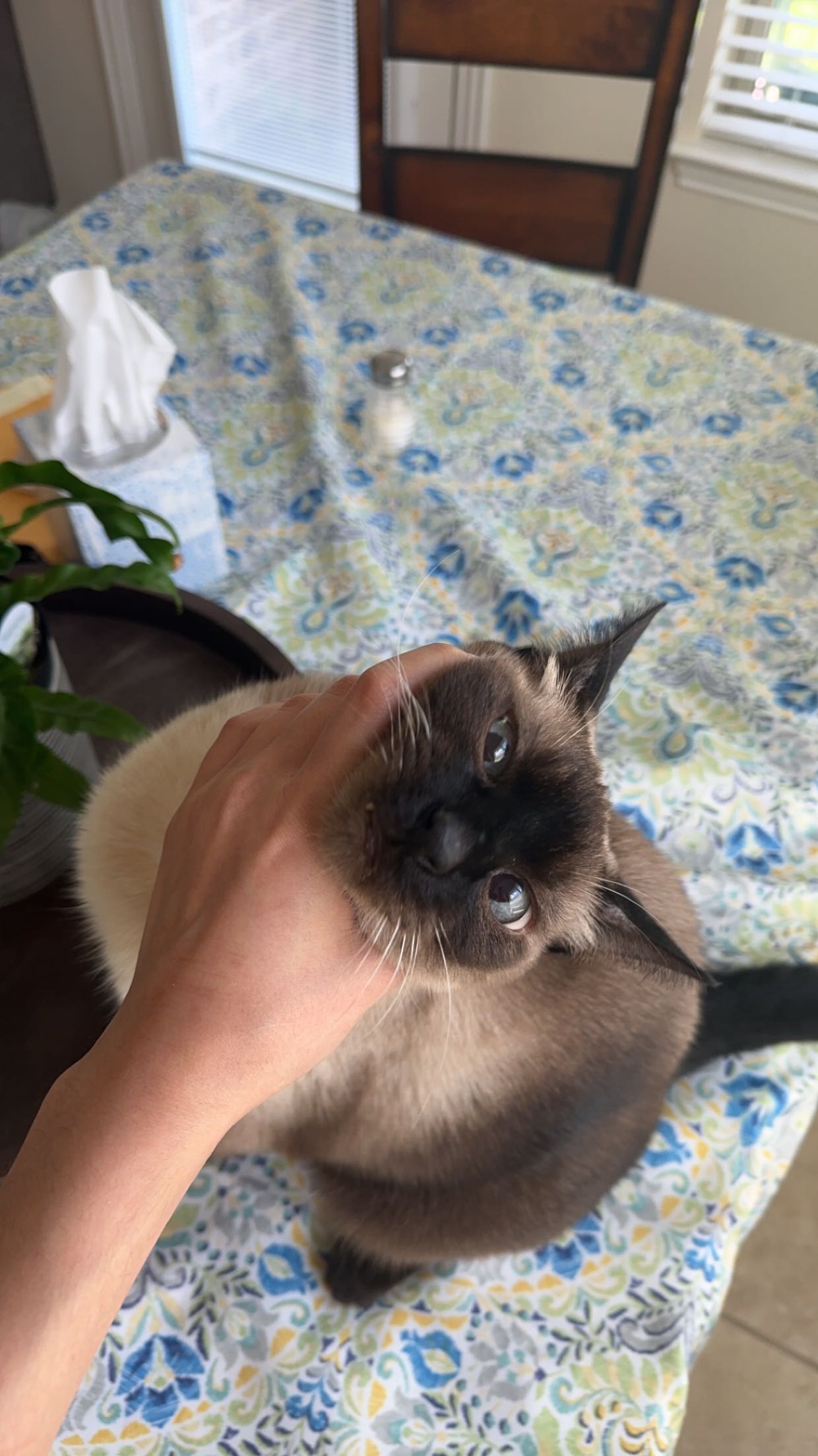 mbeeco snapchat image archive image