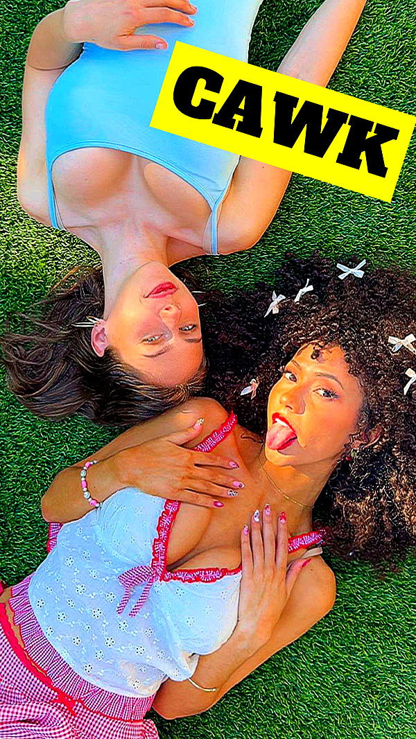 mbeeco image ~ Altpins