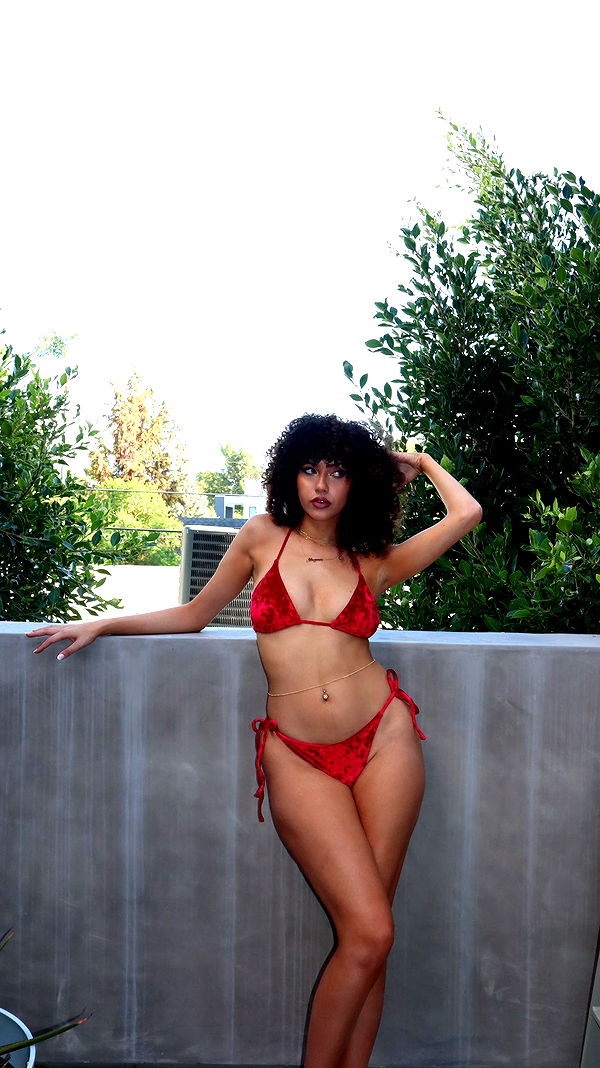 mbeeco image ~ Altpins