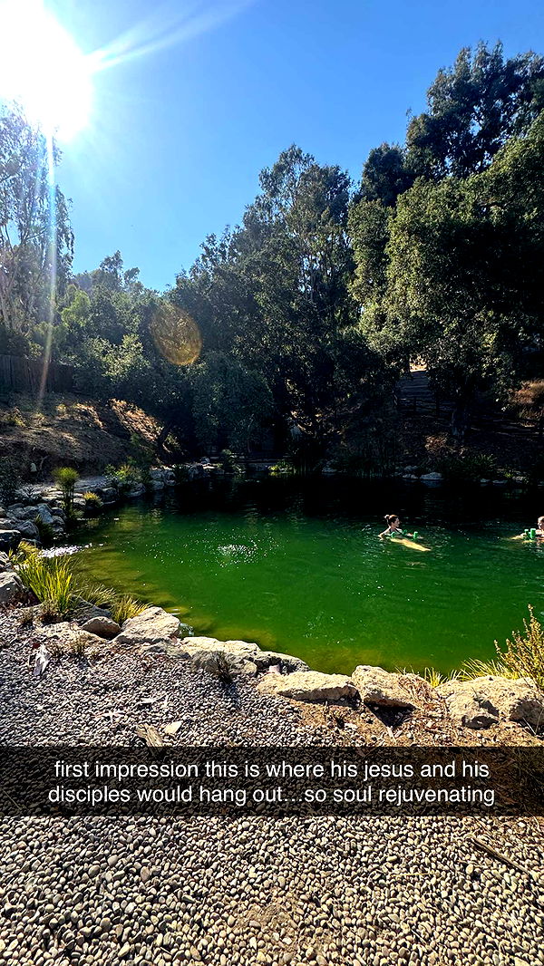 mbeeco image ~ Altpins