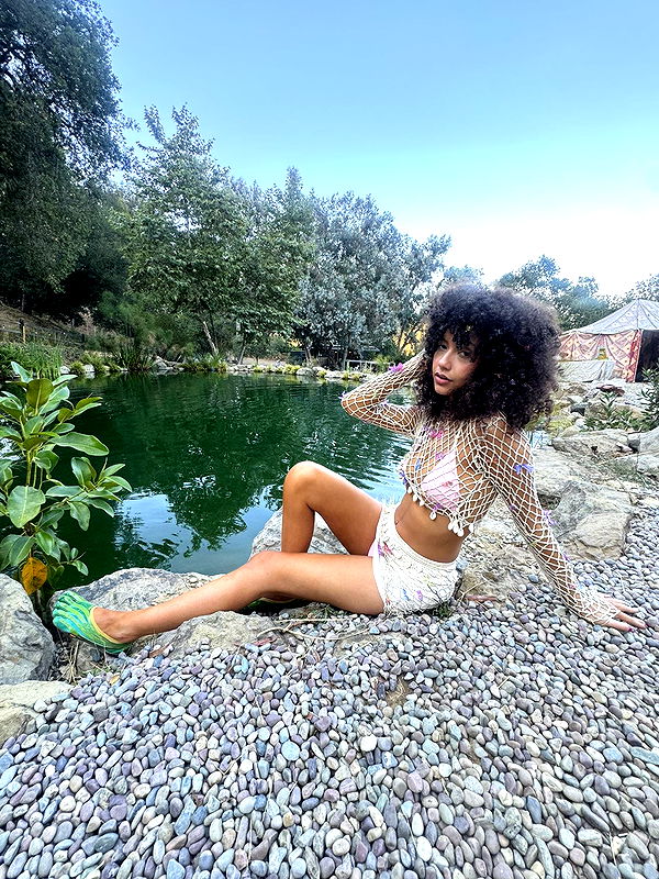 mbeeco image ~ Altpins