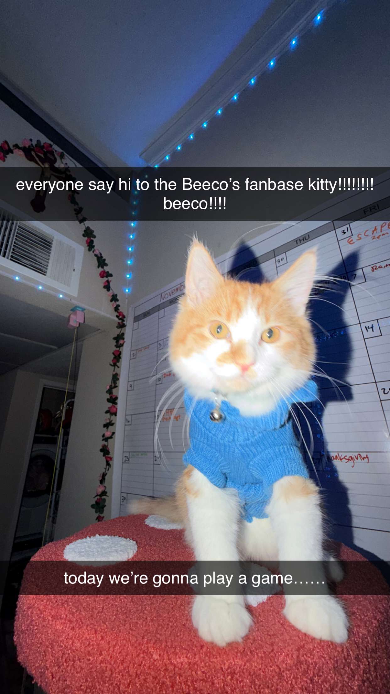 mbeeco snapchat image archive image