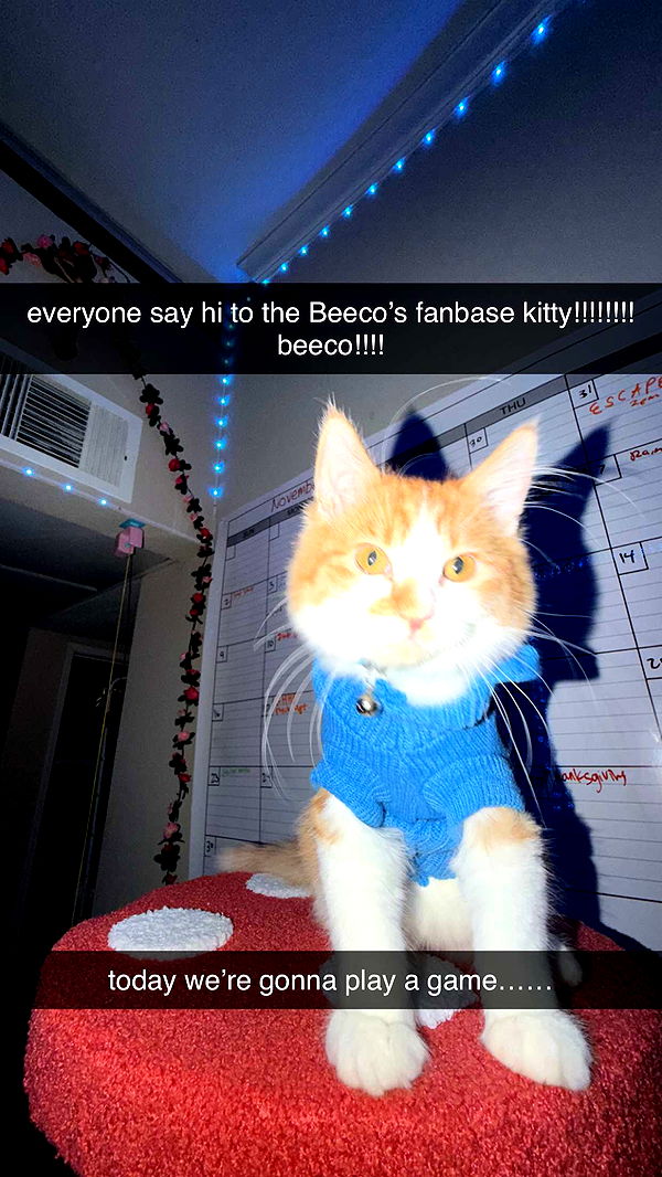 mbeeco image ~ Altpins