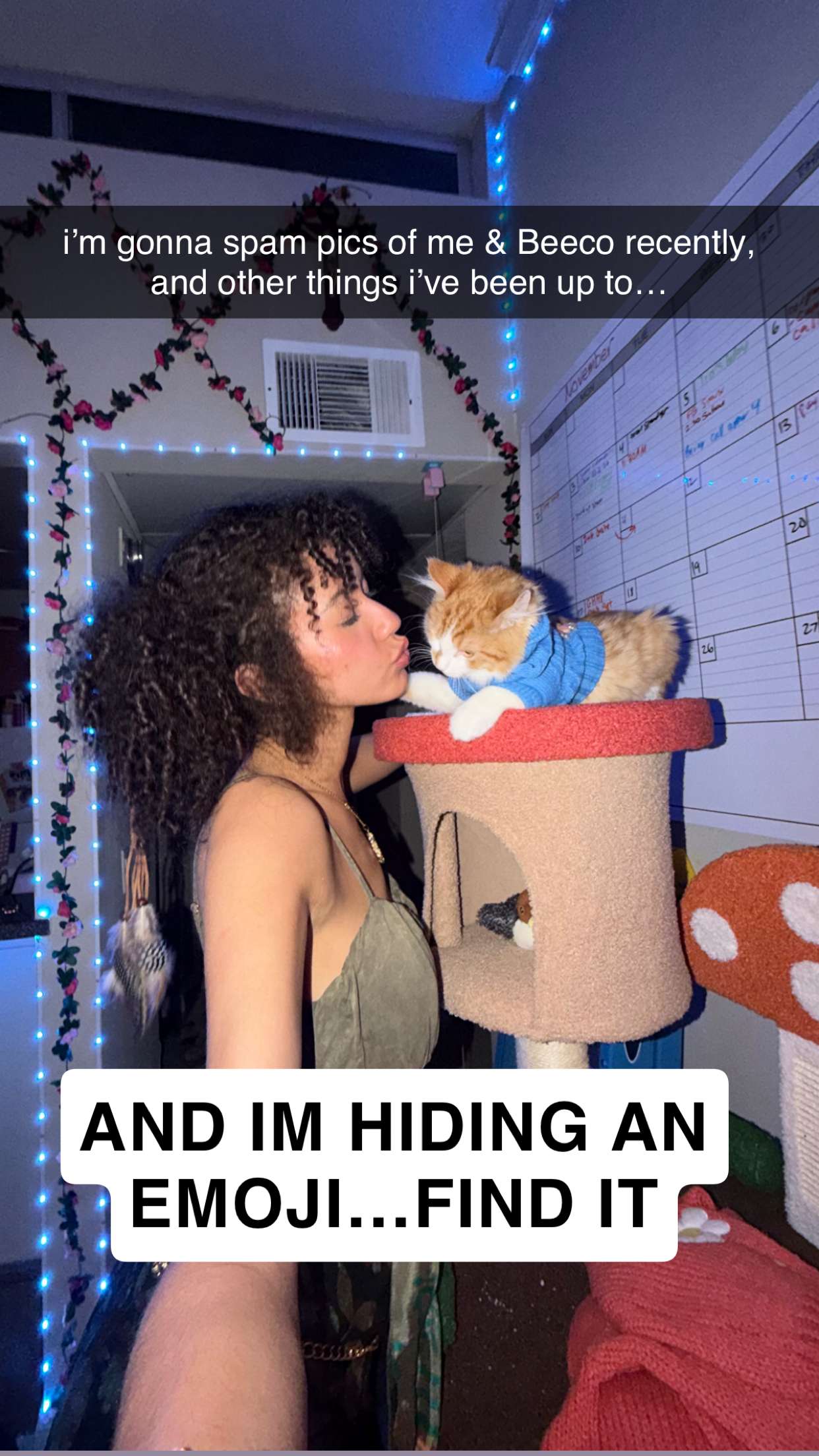 mbeeco snapchat image archive image