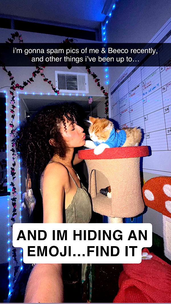 mbeeco image ~ Altpins