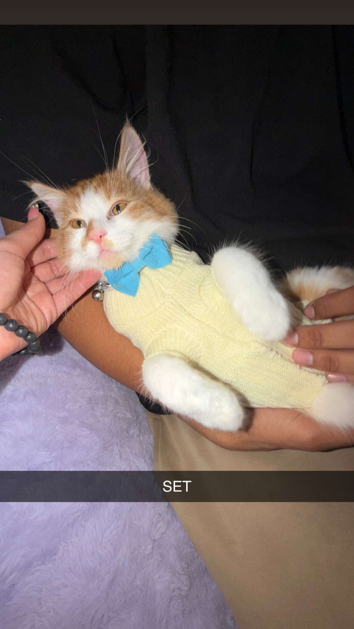 mbeeco snapchat image archive image