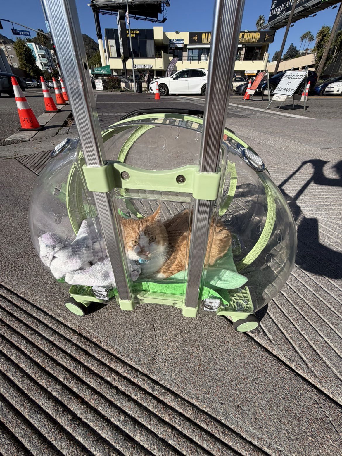 mbeeco snapchat image archive image