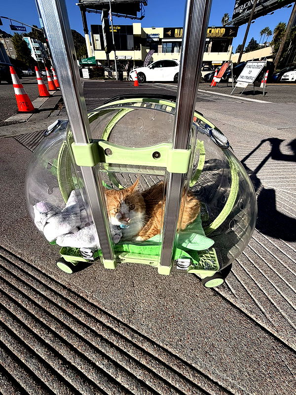 mbeeco image ~ Altpins