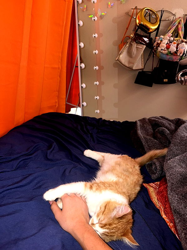 mbeeco image ~ Altpins