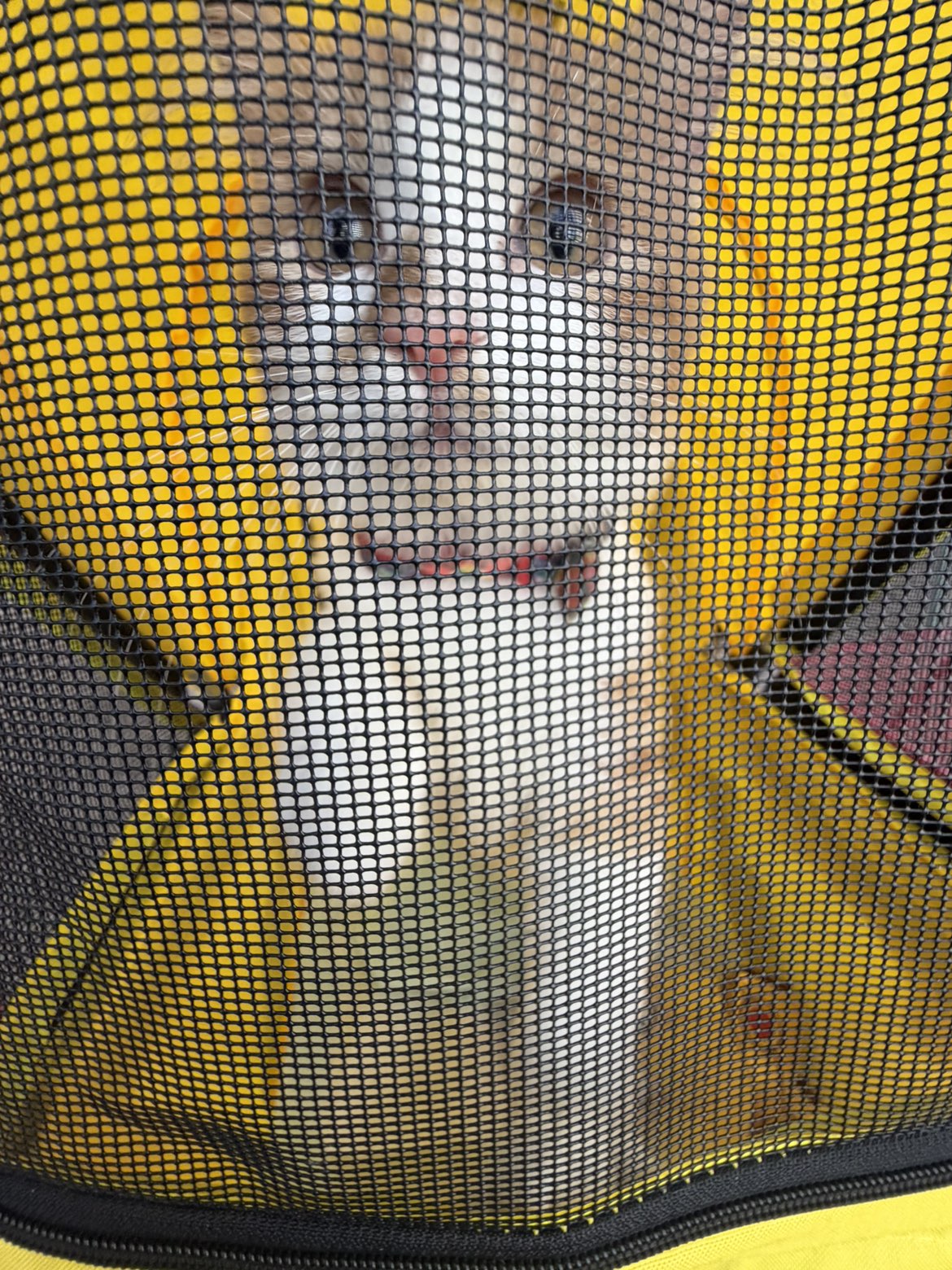 mbeeco snapchat image archive image