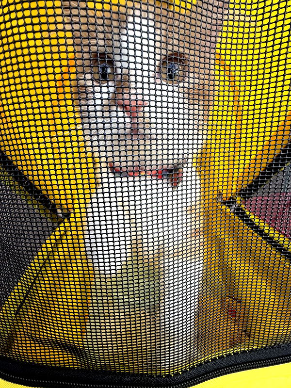 mbeeco image ~ Altpins