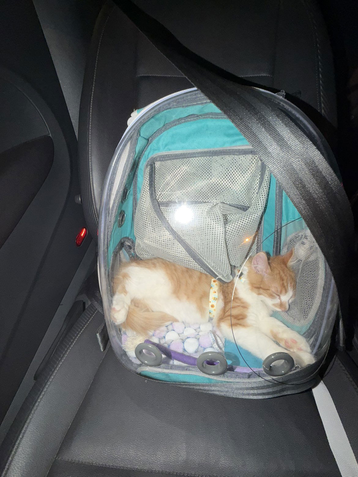 mbeeco snapchat image archive image