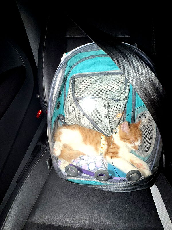 mbeeco image ~ Altpins