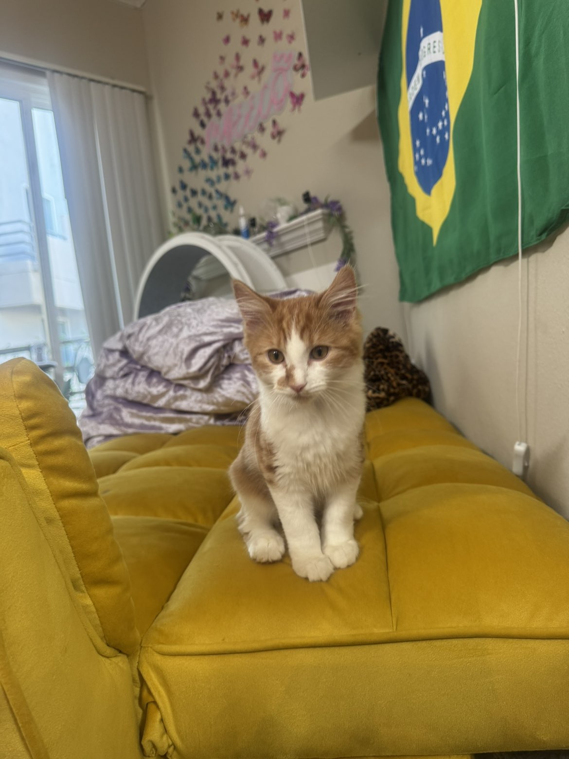 mbeeco snapchat image archive image