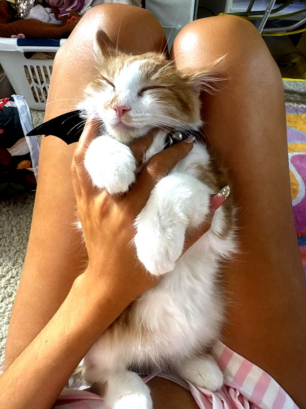 mbeeco image ~ Altpins