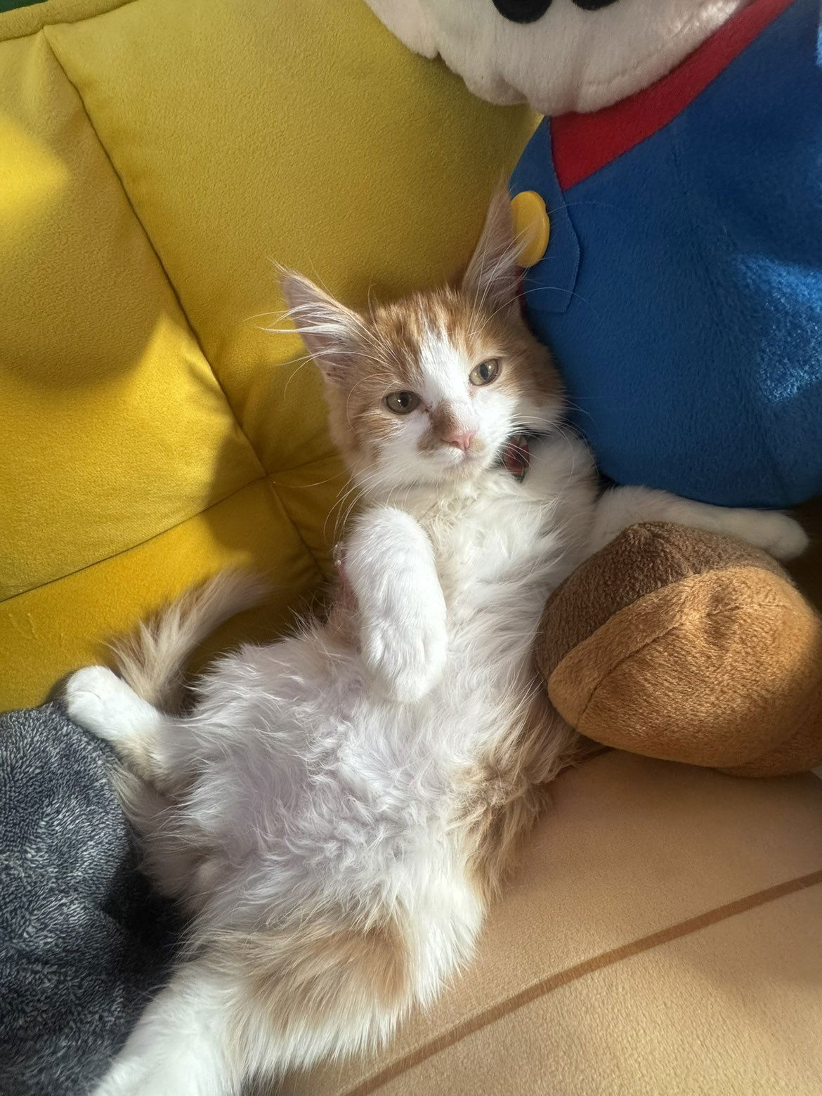 mbeeco snapchat image archive image