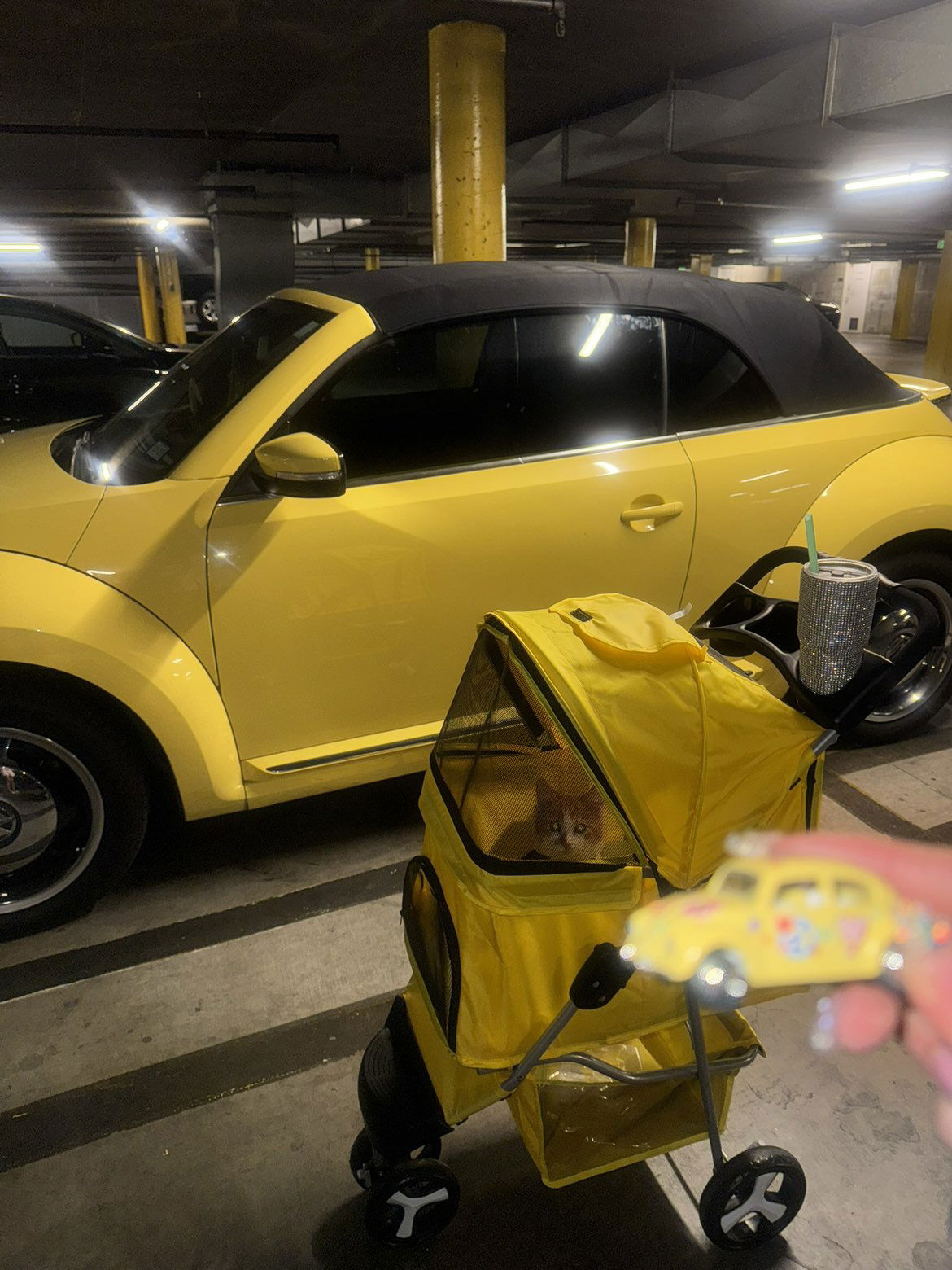 mbeeco snapchat image archive image