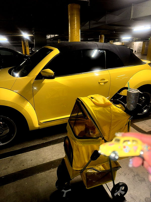 mbeeco image ~ Altpins