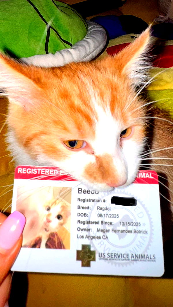 mbeeco image ~ Altpins