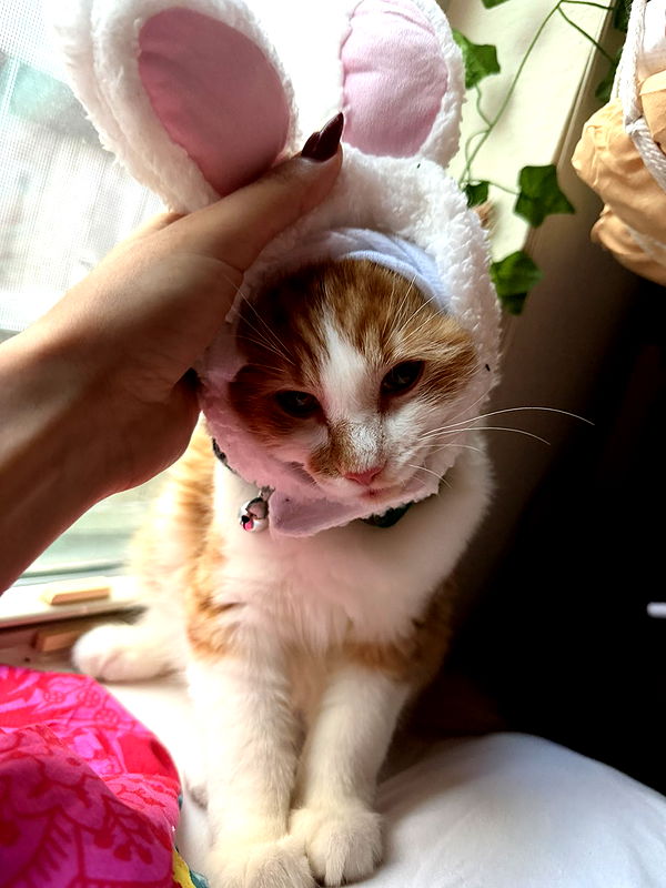 mbeeco image ~ Altpins