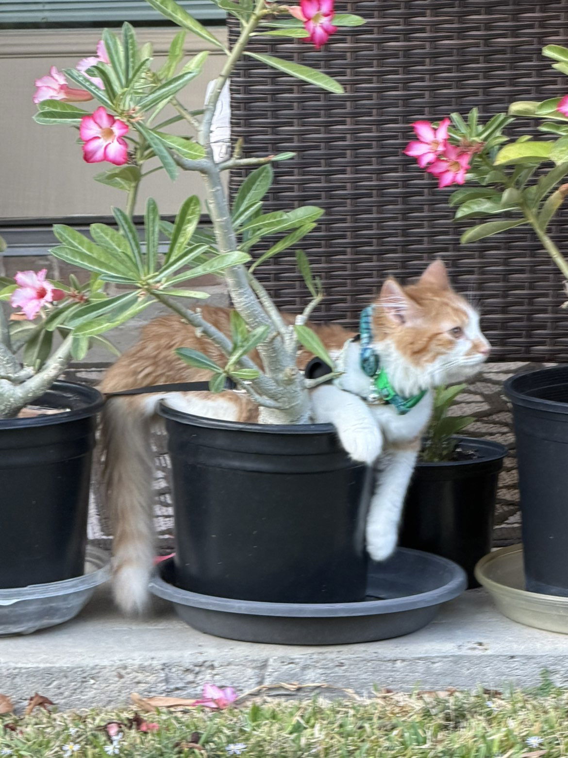 mbeeco snapchat image archive image