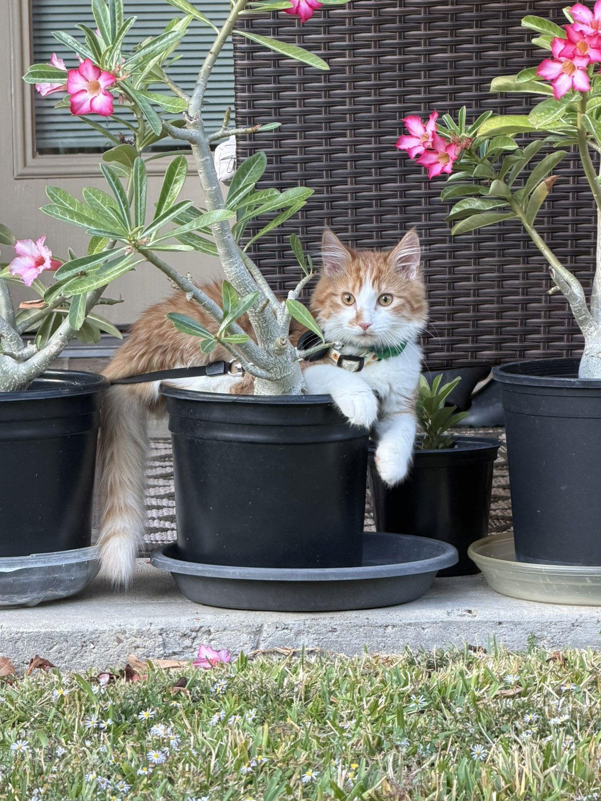 mbeeco snapchat image archive image