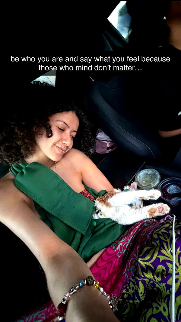 mbeeco image ~ Altpins