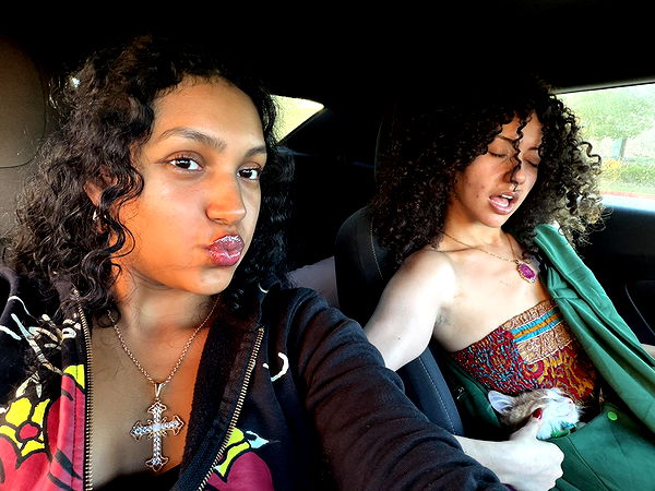 mbeeco image ~ Altpins