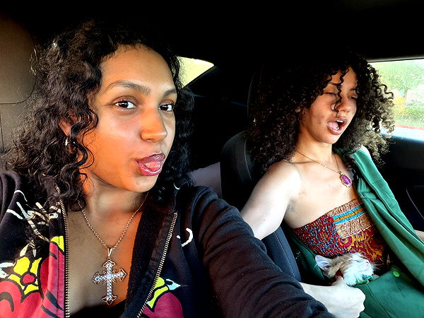 mbeeco image ~ Altpins