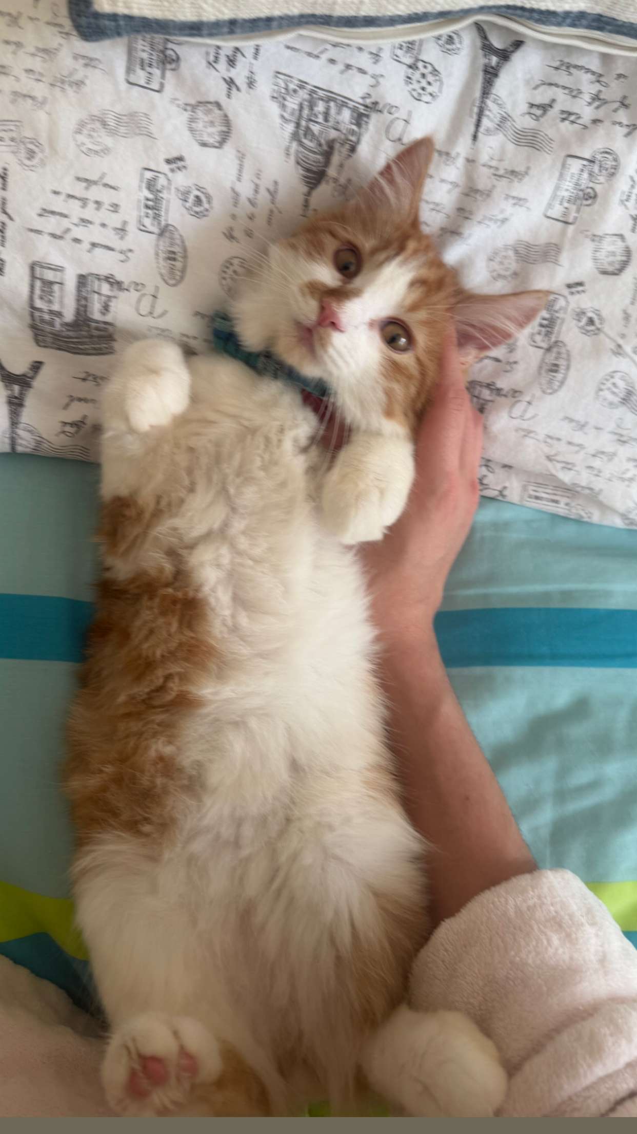 mbeeco snapchat image archive image