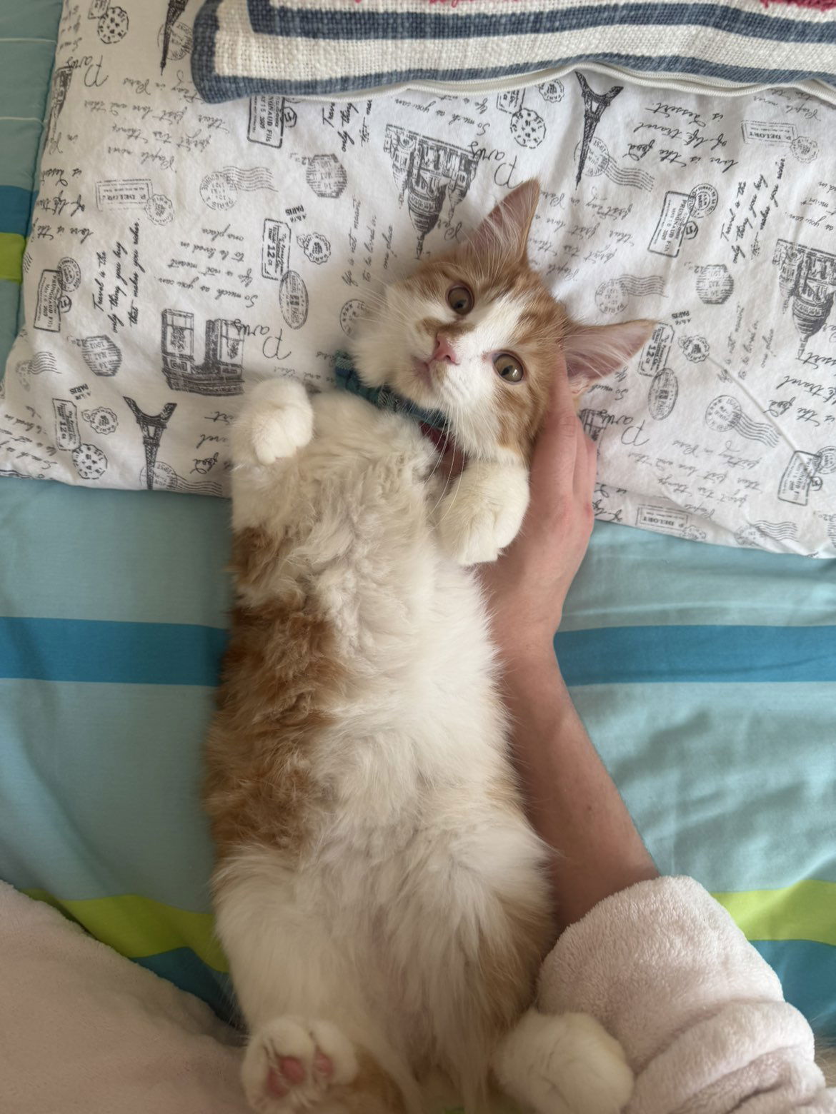 mbeeco snapchat image archive image